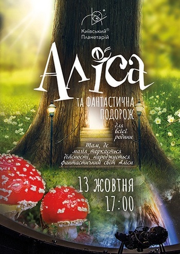 Шоу-программа 