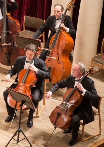 Променад-концерт. Київський камерний оркестр